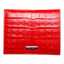 Neri Karra, ��������, 0504.1-11.05